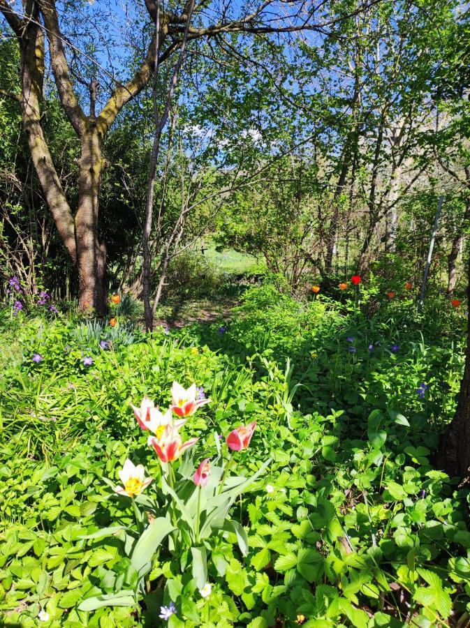 Il Giardino Del Gallo Cherasco Luaran gambar