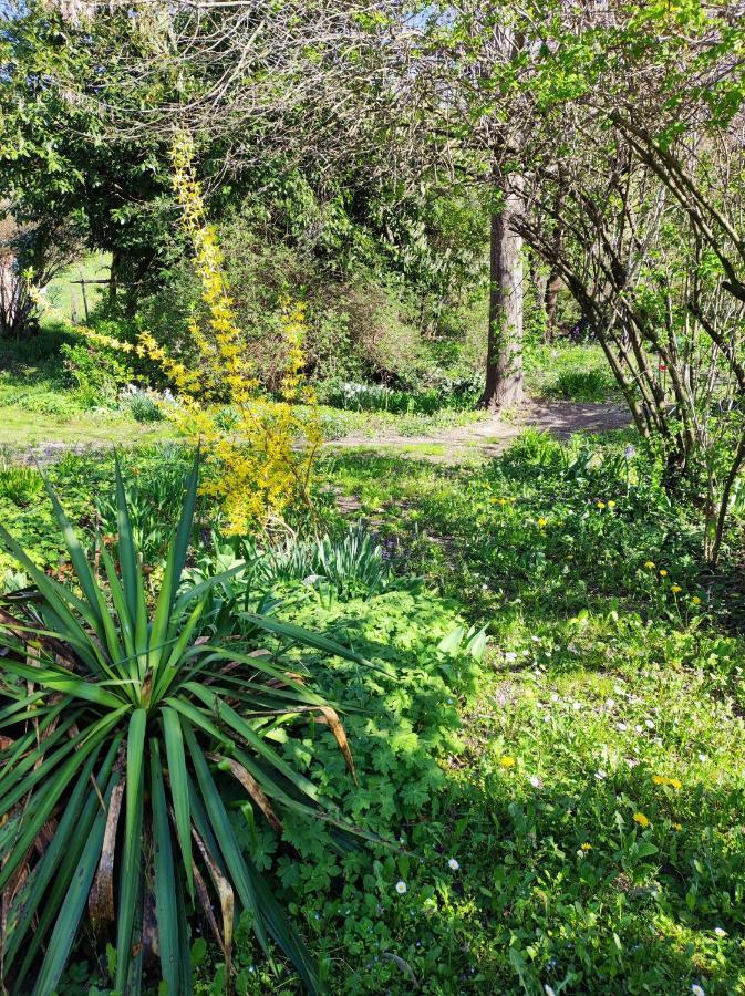 Il Giardino Del Gallo Cherasco Luaran gambar