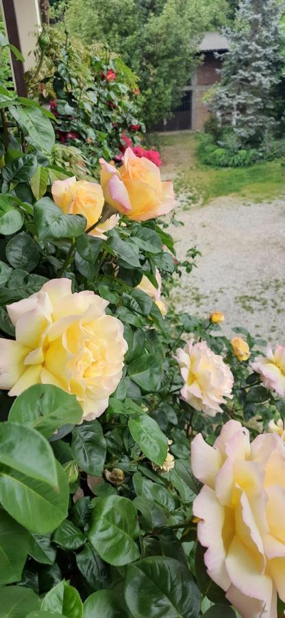 Il Giardino Del Gallo Cherasco Luaran gambar