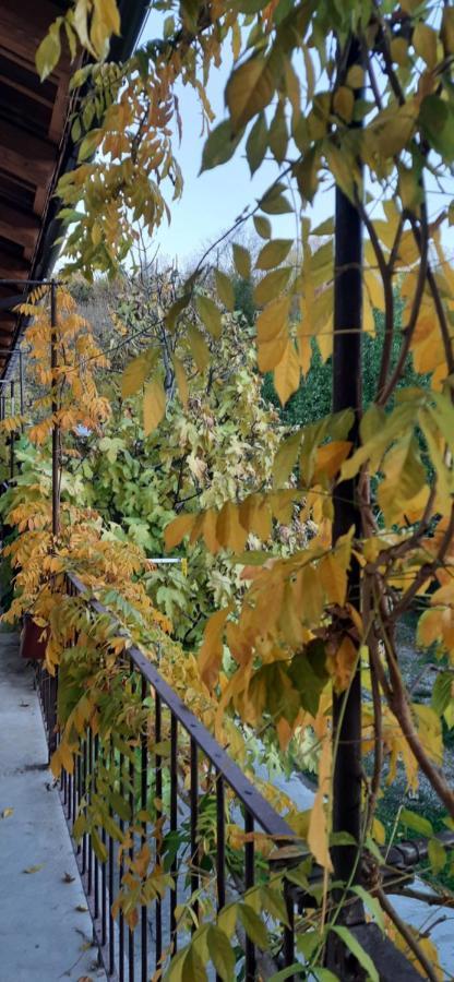 Il Giardino Del Gallo Cherasco Luaran gambar