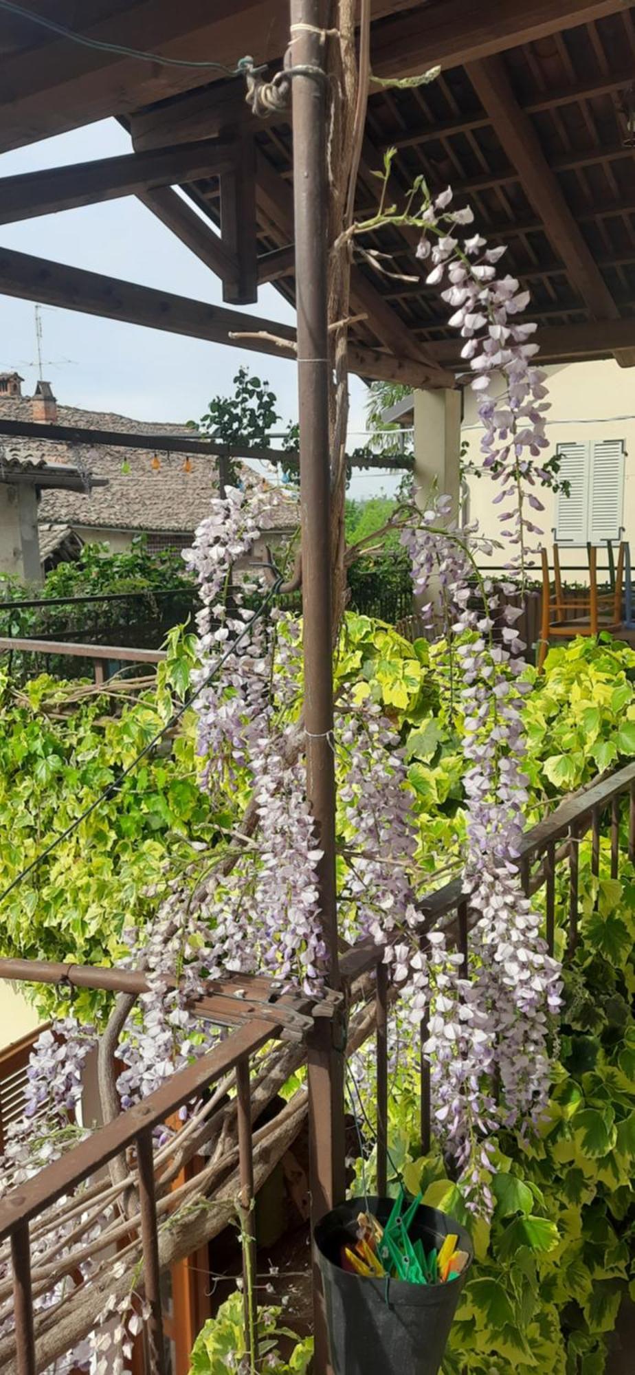 Il Giardino Del Gallo Cherasco Luaran gambar