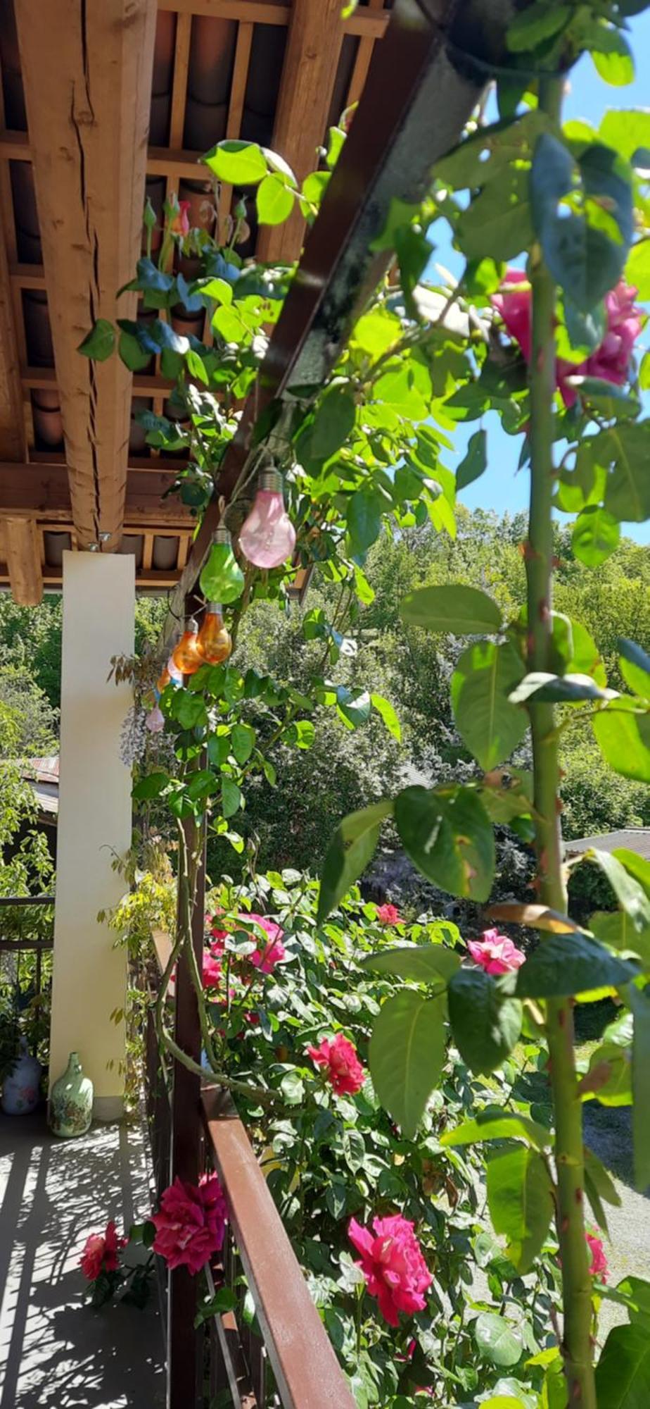 Il Giardino Del Gallo Cherasco Luaran gambar