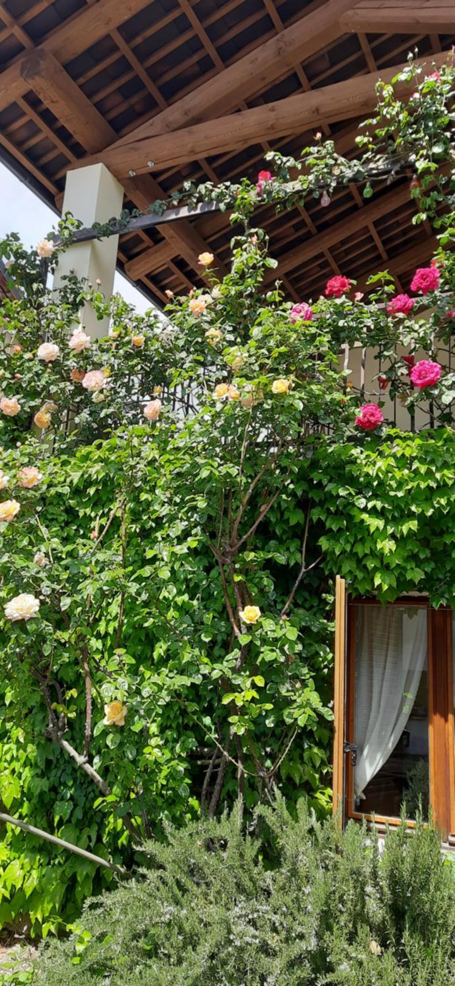 Il Giardino Del Gallo Cherasco Luaran gambar
